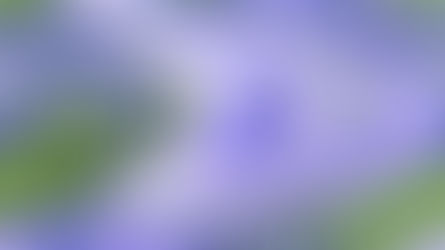 Cum influențează inteligența artificială tinerii – impact și perspective astăzi