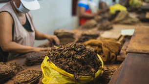 Ce este SNUS din tutun