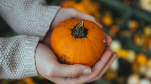 10 Delicious Pumpkin Recipes for Autumn – on Stirinoi.com