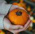 10 Delicious Pumpkin Recipes for Autumn – on Stirinoi.com
