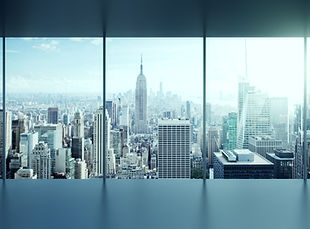 NY Window view.jpeg