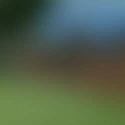 School building and grounds