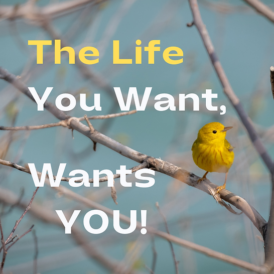 Life wants you-.png