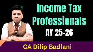 Income Tax for Professionals