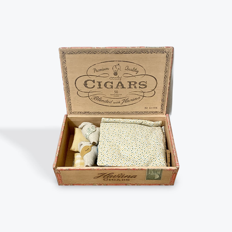 Thumbnail: Mum & Dad Mice, in Cigarbox