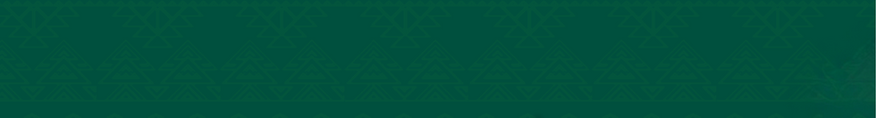 Lubi Cola_Footer.png