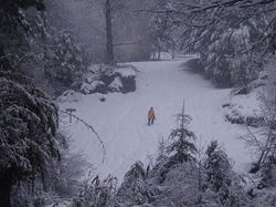 Palguin-Alto-Sebastian