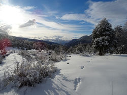 Palguin-Alto-Salto-Huellas