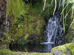 Cotacatchi_Perdu_mais_heureux