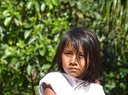 Cuidad_Perdida_Fernando_de_son_faux_nom