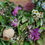 Thumbnail: Spring fresh door wreath 
