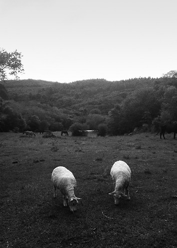 20171014_165320 edit PB.jpg