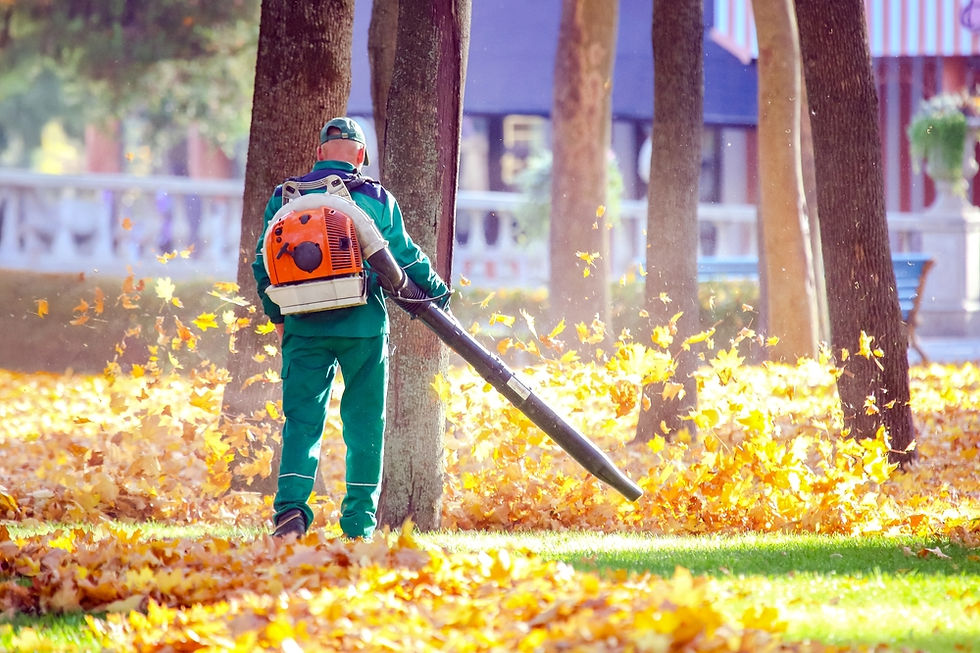 Maintaining North Texas properties