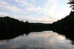 chaletsoasis moose35_33