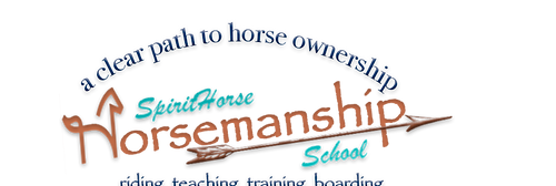 shhs title.png