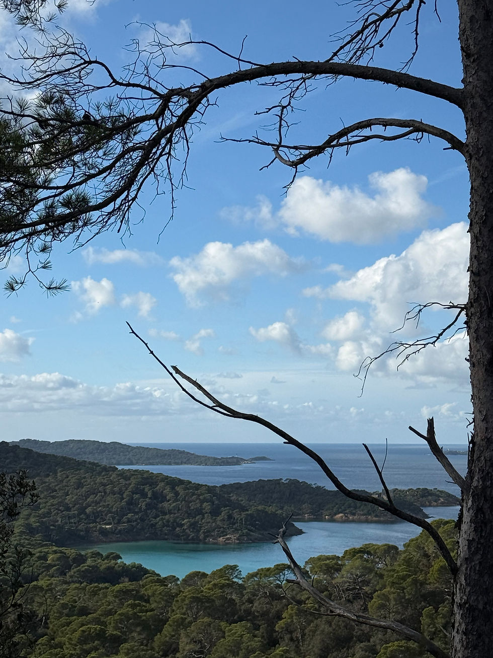 Miniature : Sortie Grand Bleu