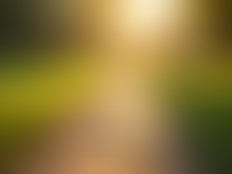 Discovering the Kingdom Life: A Way of Purpose