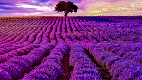 obr DSC_0052Landscape.jpg