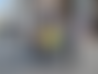 ディズニーランド研修旅行