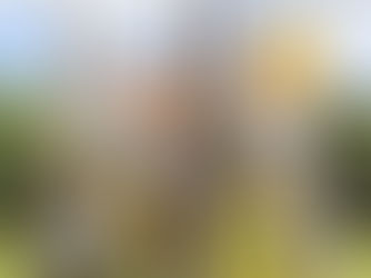 テイクス初CM撮影!!