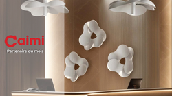 site capas (10)