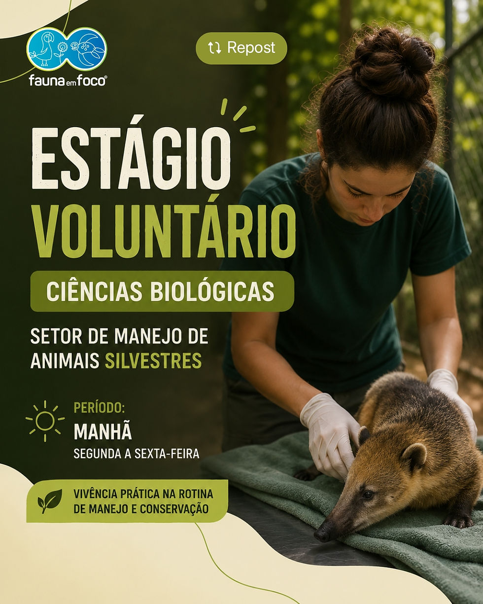 CETRAS – Zoo Sonho de Criança abre vagas para estágio voluntário em manejo de animais silvestres