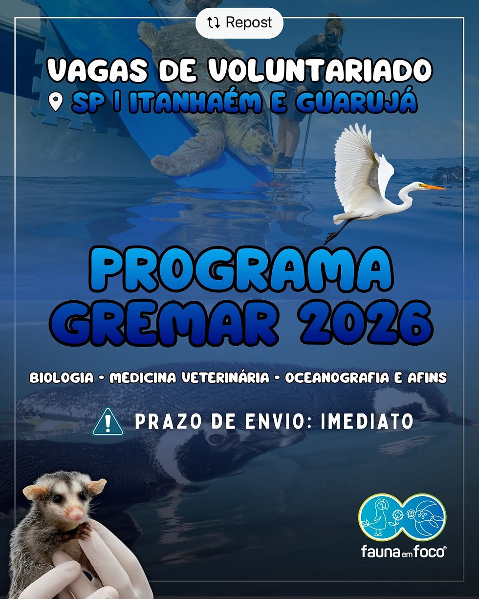 Programa de Voluntariado 2026 – Instituto Gremar