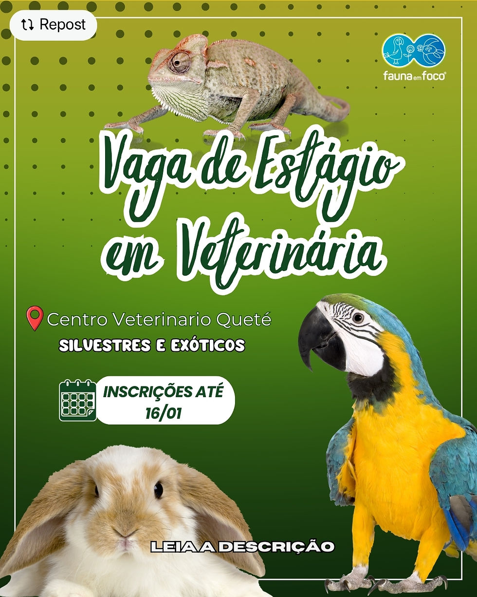 Quer estagiar com pets não convencionais? @cvquete abre vagas para 2026!