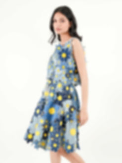 Daisy Circular Skirt
