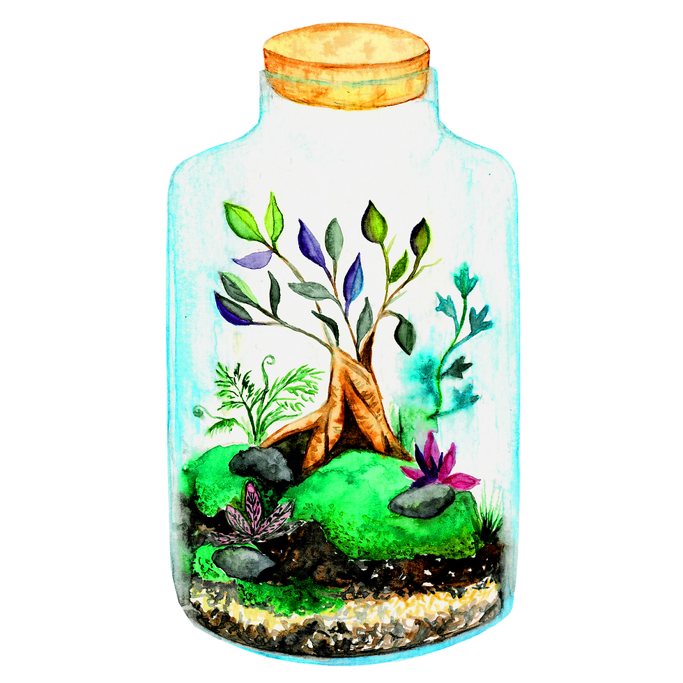 Inspired by Nature Summer Art Camp