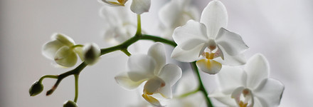 jessica-knowlden-o5-5TcWC8kU-unsplash.jp