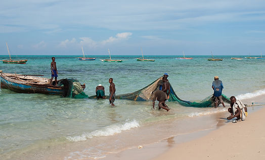 Fishing net.jpg