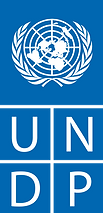 UNDP Logo.png