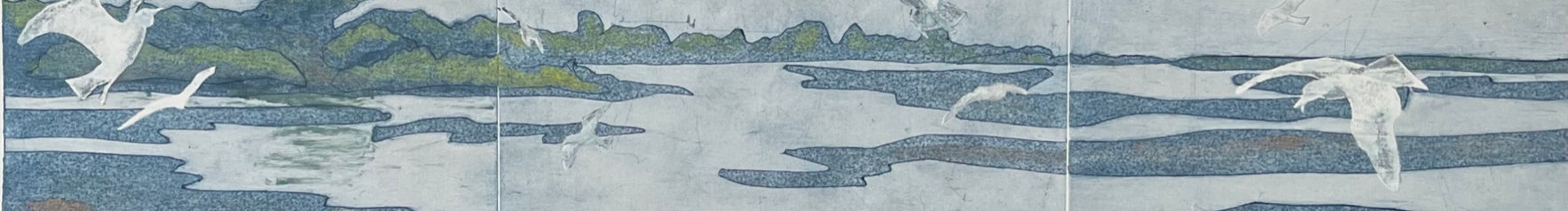 F0A98C66-0073-4EA9-A117-008243B3801E_1_105_c.jpeg