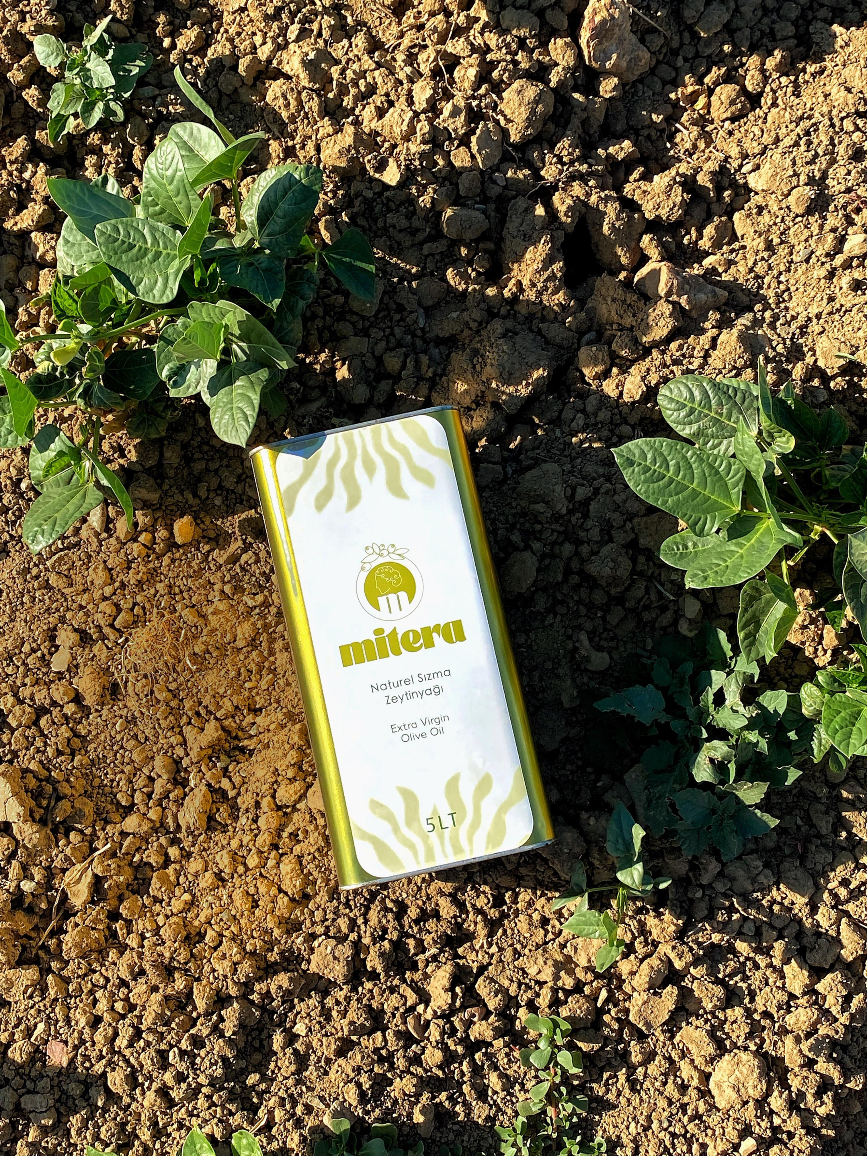 Mitera 5 LT I Şef Serisi