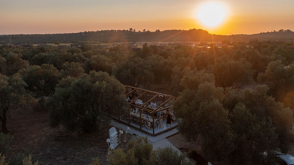 Buse & Kaan’ın Ayvalık’ta, zeytin ağaçlarının gölgesinde yazdığı bu zarif hikâyede; Mitera, anılara eşlik eden zamansız bir hatıra oldu.