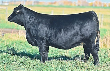 Screenshot_20260103_093936_Messages_edit