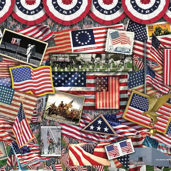 Steve Reed Puzzles Stars & Stripes By Steve Smith Puzzle | We The People