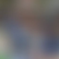 Noch alles drin, für die Hummeln