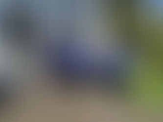 Weitere sechs lizenzierte SG-Trainer!