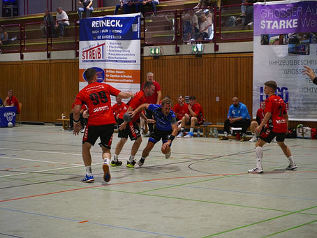 Hornets I: Revanche geglückt