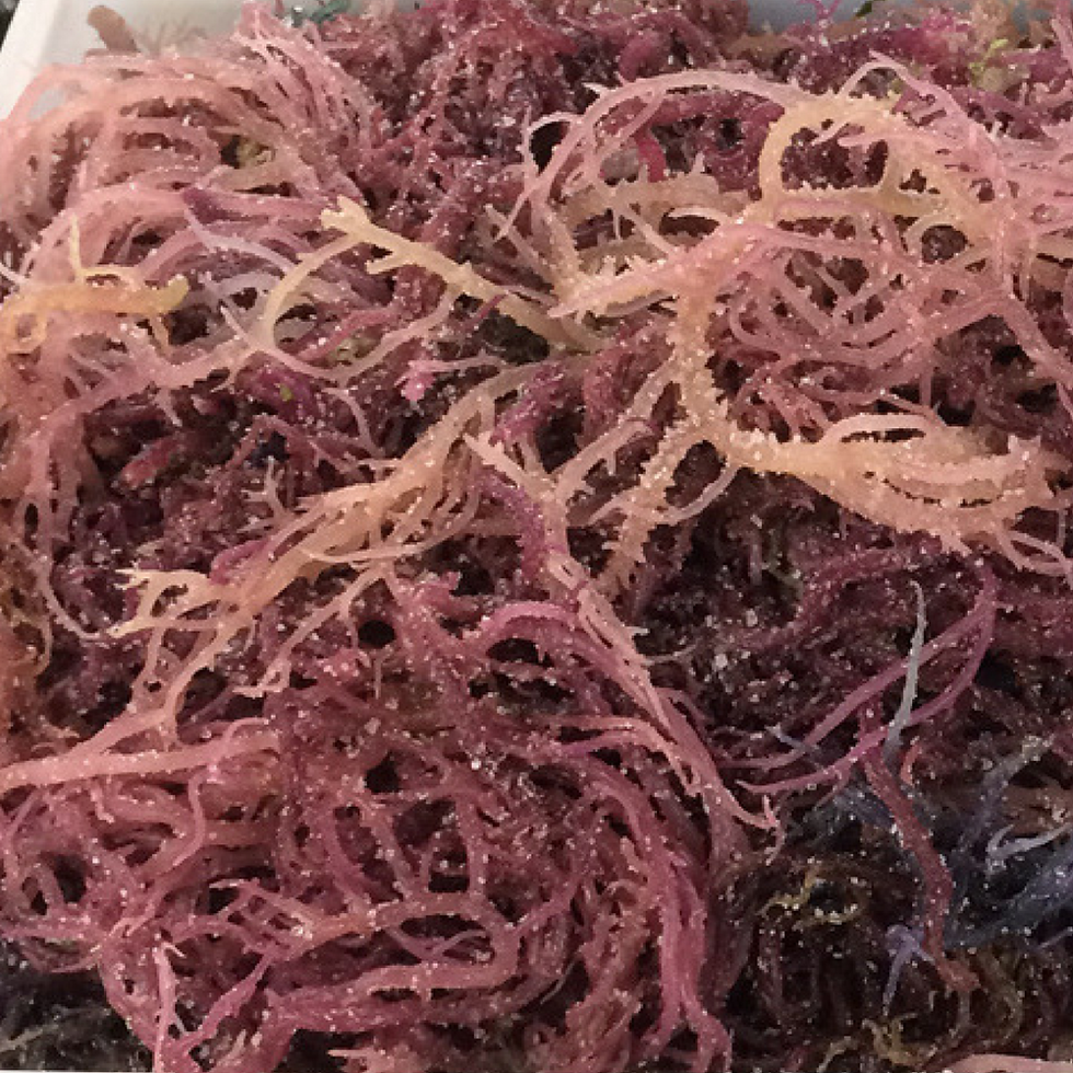 Thumbnail: Wild-Crafted Raw Full Spectrum Premium Sea Moss