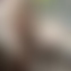 Poetry nfts are finally here!!!