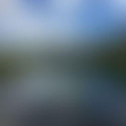 New Starter - Hangjian Zhao