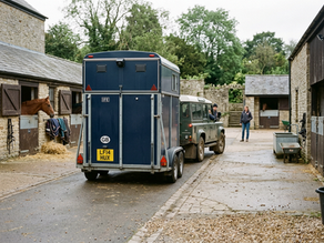 Reversing and Internal Horse Cameras for Safer Towing and Happier Horses