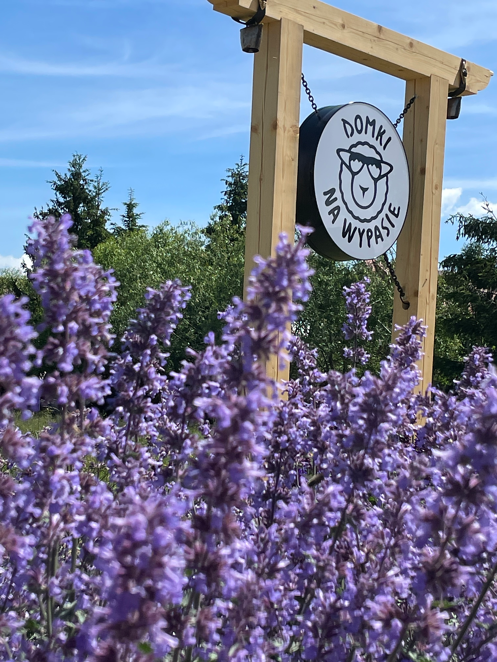 Podsumowanie wakacji 2025