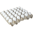 20825249001_front_a01.png