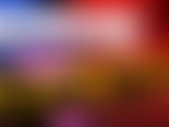 Detectives Investigating Homicide