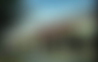 Florida Winn-Dixie stores will begin offering COVID-19 vaccine appointments next week