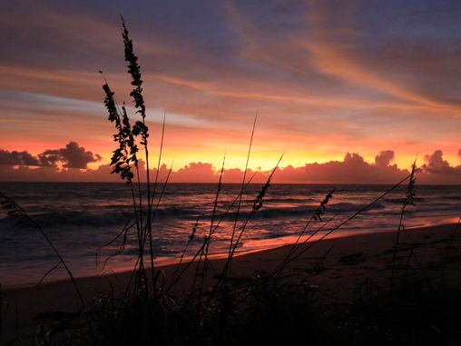 Shoreline Restoration Protects Kennedy Infrastructure, Wildlife